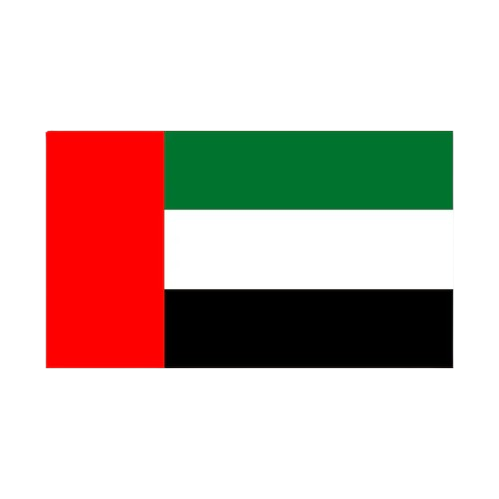 Dubai flag